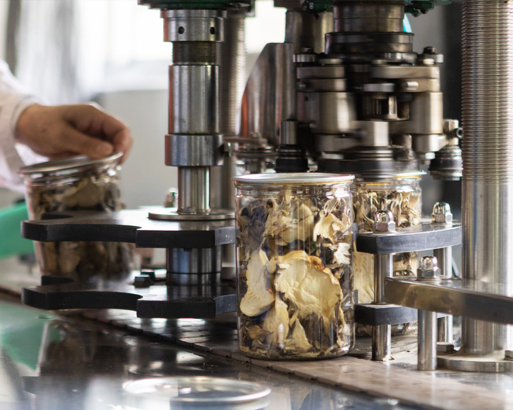 DRIED PORCINI MUSHROOM MATERIAL.jpg